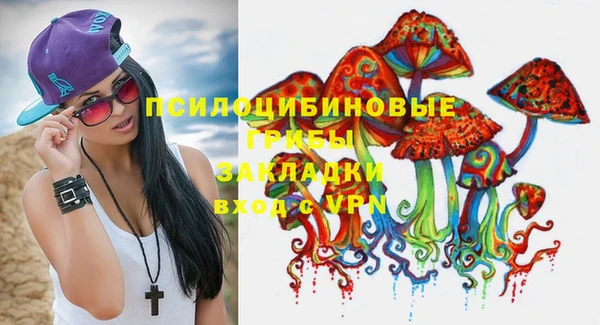 MDMA Premium VHQ Аркадак